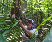 Quilombola Community Near COP30 Host City Fights Landfill Threat