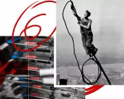 Six Great Reads: From Future Trains to Wallaby Hunts in the UK