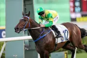 Sky Trust Aims for Sixth Sha Tin Win in 2026 Chinese Club Challenge Cup
