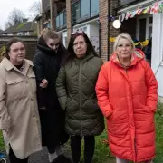 South London estate plagued by mice: 'Dead rodents found in children's toys'