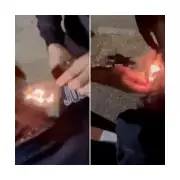 Spanish Teens Investigated After Setting Homeless Man's Hair Alight