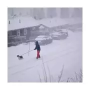 Storm Johannes kills three and cuts power to 140,000 homes in Scandinavia