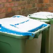 Sutton's Festive Bin Collection Changes: Revised Dates & Tree Recycling