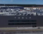 Tesla's European Sales Plunge 34% as BYD Soars 221% in November