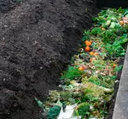Trench Composting: The Ancient, Low-Effort Method to Enrich Your Garden Soil