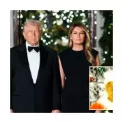 Trump's Sombre Christmas Card Sparks Debate Amid Supreme Court Setback