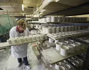 UK Ceramics Industry Pleads for Aid to Save 20,000 Jobs and National Heritage