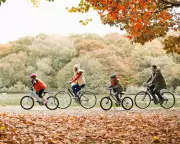 UK Cycling Stalls: Sales Slump as Safety Fears and Political Inertia Hinder Progress