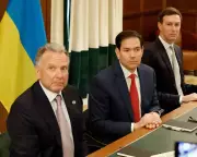 US Envoy Holds 'Productive' Ukraine Peace Talks in Florida with Kushner, Rubio