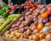 USDA spends $1 on local farms vs $1,054 on industrial farms, data reveals