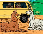 Waking Up Hungover on a German Llama Farm: A Night Out Lesson in Friendship