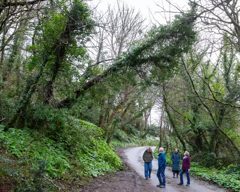 Cornwall's Storm Goretti Fallout: Broadband Outages Spark Infrastructure Debate