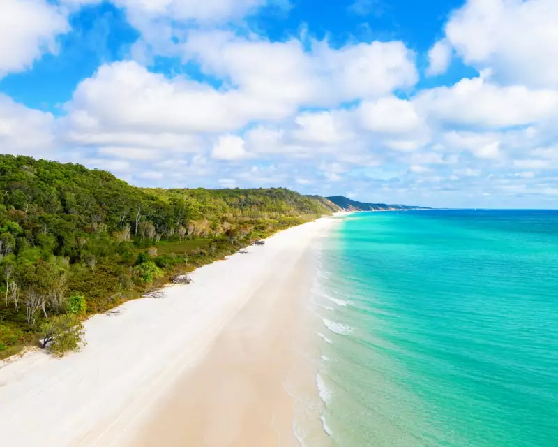 Woman Found Dead on K'gari, Dingo Attack Suspected in Tragic Incident