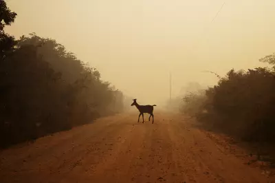 8 Must-See Photography Exhibitions Coming to London in 2026
