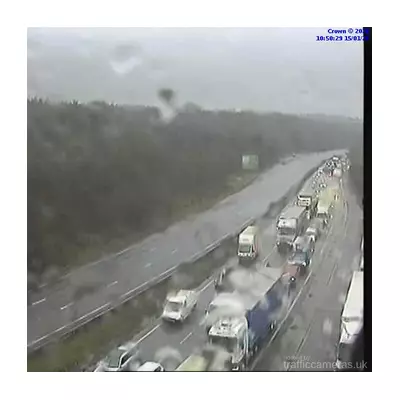 A3 chaos: Three horses killed in lorry collision near Burntcommon