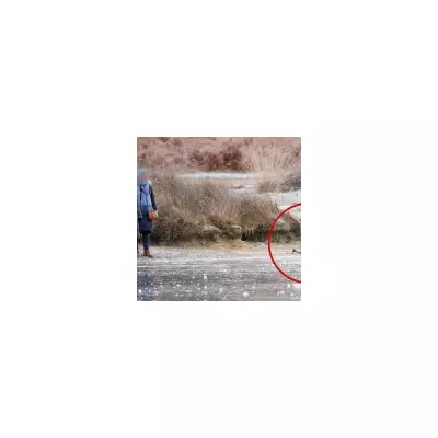 Child with hammer on frozen Richmond Park pond as women watch