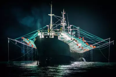 Chinese Fleet Plunders Squid in Unregulated Atlantic Zone, Threatening Ecosystem