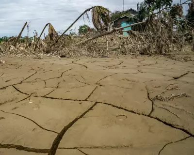 Climate Crisis: It's Our Future at Stake, Not Earth's, Warns Expert