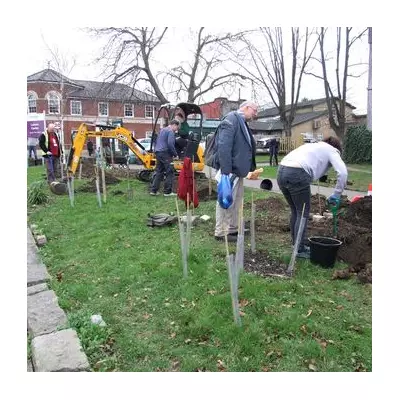Croydon bin lorry crash destroys community garden, compensation still missing
