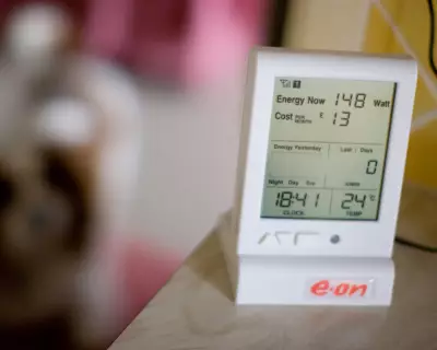 E.ON's £3,360 Smart Meter Blunder Adds Grief for Bereaved Customer