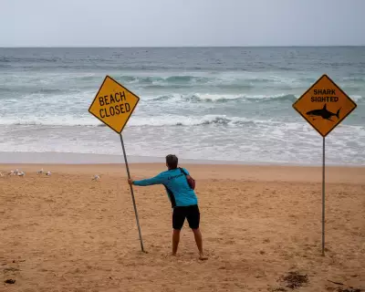 Fourth Shark Attack in Three Days Rocks New South Wales Coast