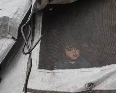 Gaza's Winter Crisis: 1.6 Million Face Starvation as Israel Bans Key NGOs