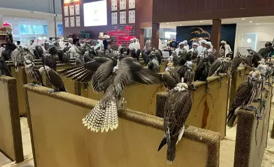 Illegal UK Falcon Trade Soars as UAE Demand Drives Nest Raids