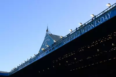 Poll: Only 32% of Brits Trust Football & Rugby Club Owners on Finances