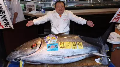 Record £2.4m Paid for Giant Bluefin Tuna at Tokyo Auction