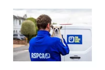 RSPCA Seeks New Animal Rescue Officers in London Amid Rising Demand