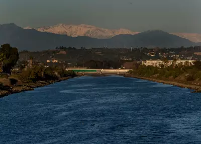 Sea Lion Confetti Recovers in LA After Surviving Two Bullet Wounds to Head