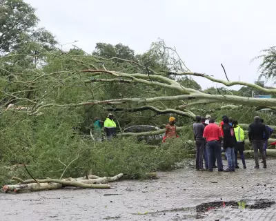 South Africa and Mozambique Floods: Kruger Park Evacuated as Torrential Rain Continues