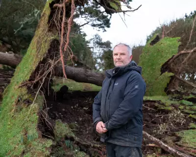 Storm Goretti Ravages St Michael's Mount: 80% of Trees Lost in 112mph Winds