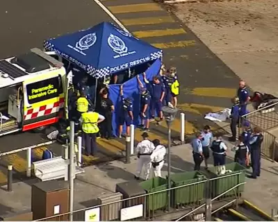 Sydney Harbour Shark Attack: 12-Year-Old Boy in 'Fight for Life' After Sunday Attack