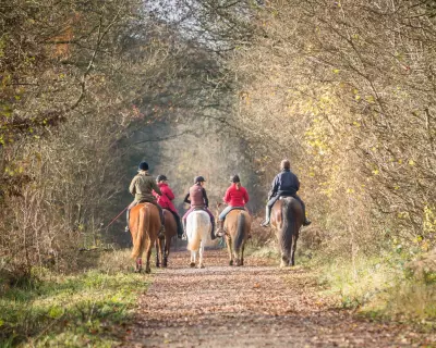 The Great British Poo Divide: Why Horse Owners Avoid Clean-Up Duty