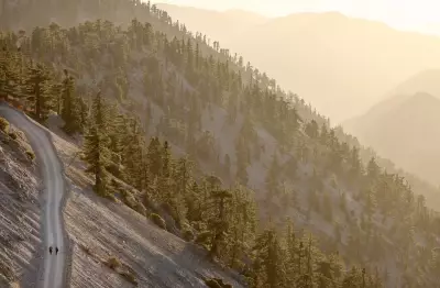 Three Hikers Found Dead on California's Mount Baldy, Including 19-Year-Old Student