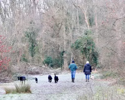 UK Braces for 40cm Snow and Ice as Arctic Blast Hits in New Year Cold Snap