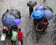 A Guardian and a Thief: Moral Thriller in Climate-Ravaged Kolkata