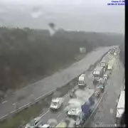 A3 chaos: Three horses killed in lorry collision near Burntcommon