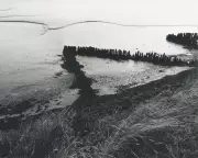 Art Weekly: Emin's Melancholy Giants, Homoerotic Saints & Political Posters