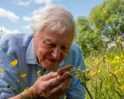 Attenborough's Wild London Inspires Hope Amid Nature's Decline