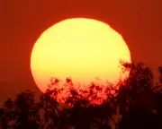 Australia's 2026 Heatwave: Southern States Face Extreme Temperatures