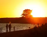 Australia's Severe Heatwave Hits 46C, Firefighters Warn 'Ready to Burn'