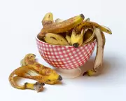 Banana Water for Plants: Viral Hack or Risky Fertiliser? Experts Weigh In