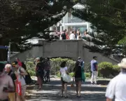 Bondi Footbridge Fate on Hold as Council Pledges Victim Consultation