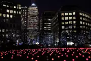 Canary Wharf Winter Lights Festival Returns for 10th Year in January 2026