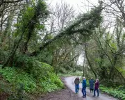 Cornwall's Storm Goretti Fallout: Broadband Outages Spark Infrastructure Debate