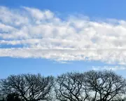 Country Diary: The Eerie Calm After the Storm in Ceredigion