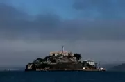 Coyote Makes Historic Swim to Alcatraz, Stunning San Francisco Observers