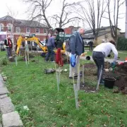 Croydon bin lorry crash destroys community garden, compensation still missing